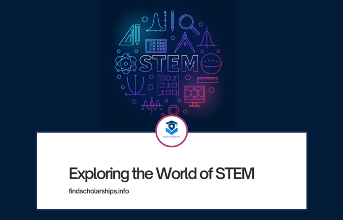 Exploring the World of STEM