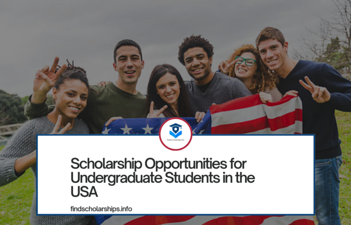 Scholarship Opportunities for Undergraduate Students in the USA