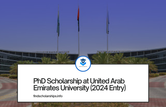 PhD Scholarship at United Arab Emirates University (2024 Entry)