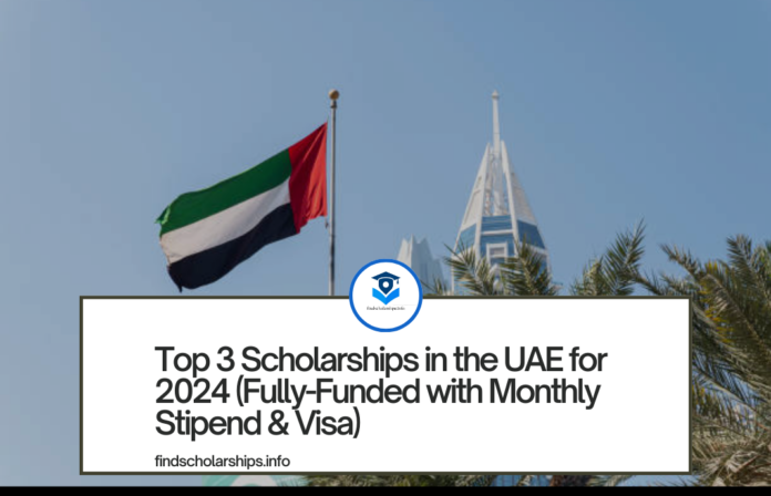 Top 3 Scholarships in the UAE for 2024 (Fully-Funded with Monthly Stipend & Visa)